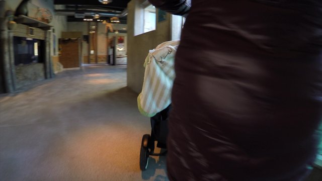 a mom, baby and toddler with a stroller and seals at the zoo