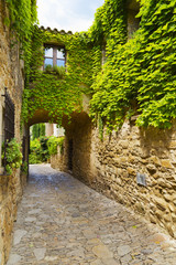 Medieval old street with a tunnel and green springtime plants