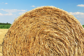 Hay stack detail. A close up of a haystack under the blue sky