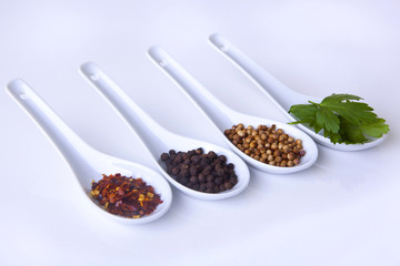 Spices in catering spoons shot at an angle on a white background 