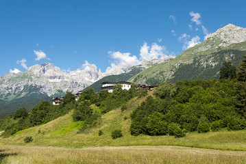 sentiero bosco montagna trentino alto adige alpi prati pascoli