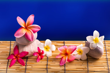 Frangipani flowers, Spa massage