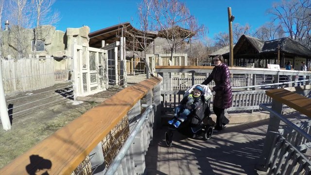 a mother and son watch rhinos at the zoo