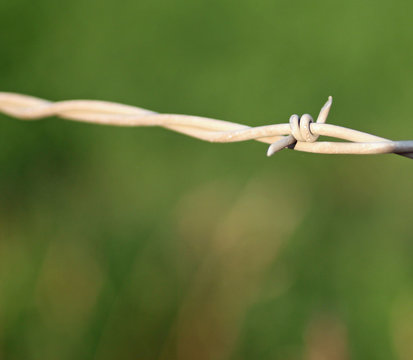 Closeup of Barbed Wire