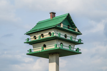 Bird feeder isolated