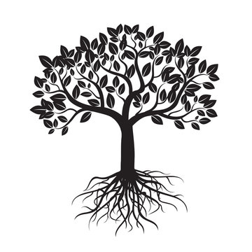 Tree with Roots and Leafs. Vector image.