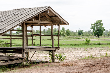 Thai style pavilion near peddy field