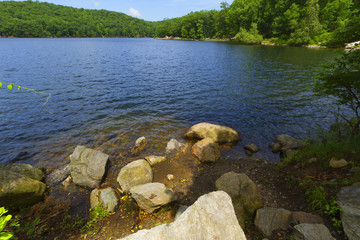 Sunset on the forest lake.