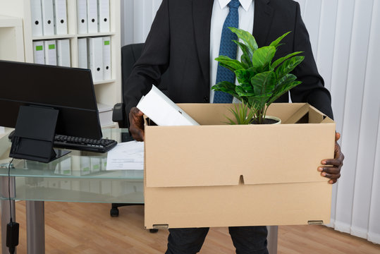 Businessman Holding Folder And Plant In Cardboard Box