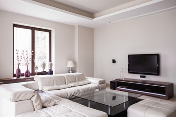 Obraz na płótnie Canvas White designed living room