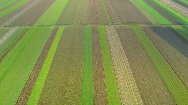 Green shades of fields flying over