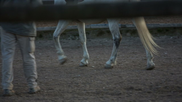 Horse hooves circling around a person