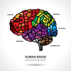Mosaic Human Brain Art