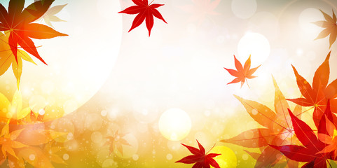 紅葉　もみじ　背景