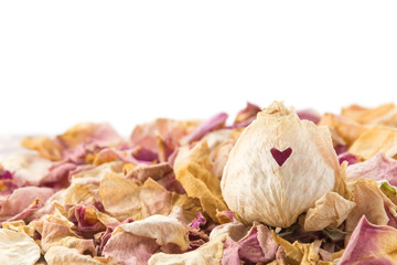 heart on dry pink and white rose