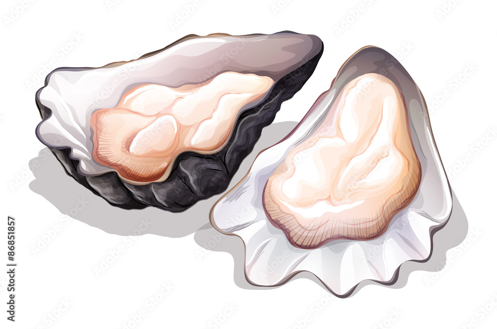 Poster Oyster