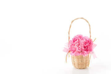 Fototapeta na wymiar pink carnations flower