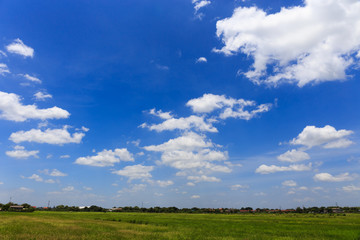 Cloud in the clear sky