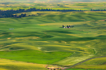 Steptoe Butte State Park