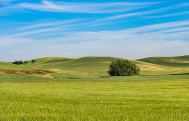Steptoe Butte State Park