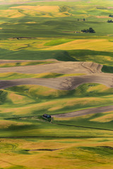 Steptoe Butte State Park