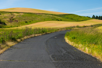 Country road in Palouse belong field