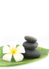 Zen stones with frangipani flower on white