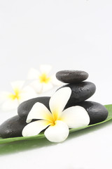 Obraz na płótnie Canvas Zen stones with frangipani flower on white