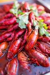 Crayfish