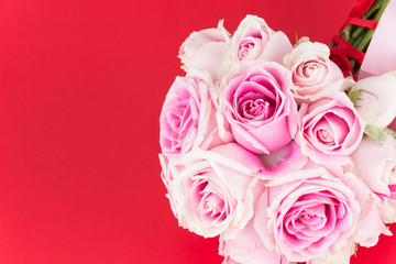 pink and white rose on red background
