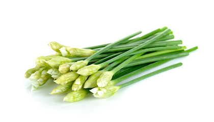 Chives flower or Chinese Chive isolated on white background