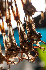 Obraz premium Rane secche appese per la vendita in un mercato sud americano. Cibo alternativo