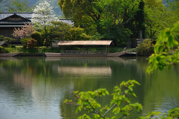 Fototapeta na wymiar Japanese garden 日本庭園 大沢池