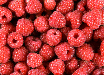 Clouse up Fresh Organic picked Raspberries. Rich with vitamins. Background, texture