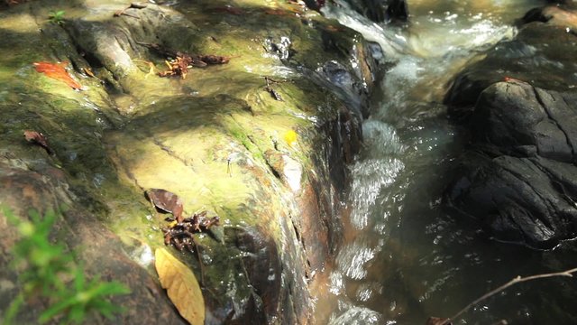 Video shot of mountain stream between stones.