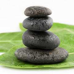 Balanced black zen stones on green leaves