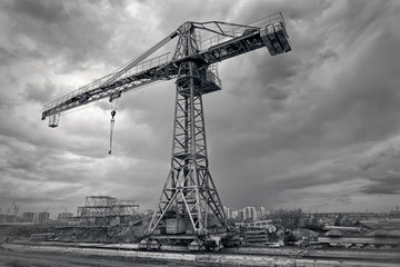 Tower powerful crane