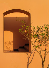 Details of Arabian Architecture