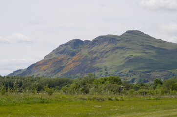 Fototapeta premium ochil hill range