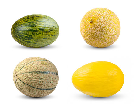 Set Collection of Melon. Cantaloupe, Galia,  Piel de sapo and Honeydew. Isolated on white background.