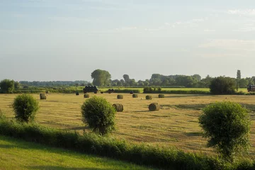 Fototapeten Hooibalen in een weiland met ooievaars - Overijssel Nederland © Leandervasse