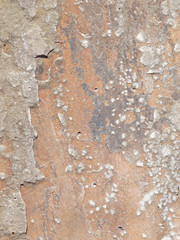 vertical wall of natural stone