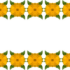 Zinnias flower frame isolated on white background