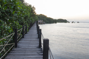 Wood path over river and through tropical forest