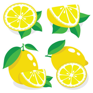 Collection of lemon vector illustrations