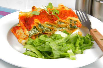 cannelloni 11072015