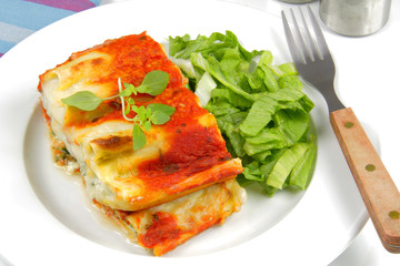 cannelloni 11072015