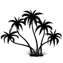 Fototapeta premium Palm trees silhouette on white, vector illustration