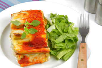 cannelloni 11072015