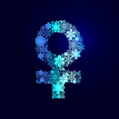 Winter decorations. Symbols of snowflakes.Venus.